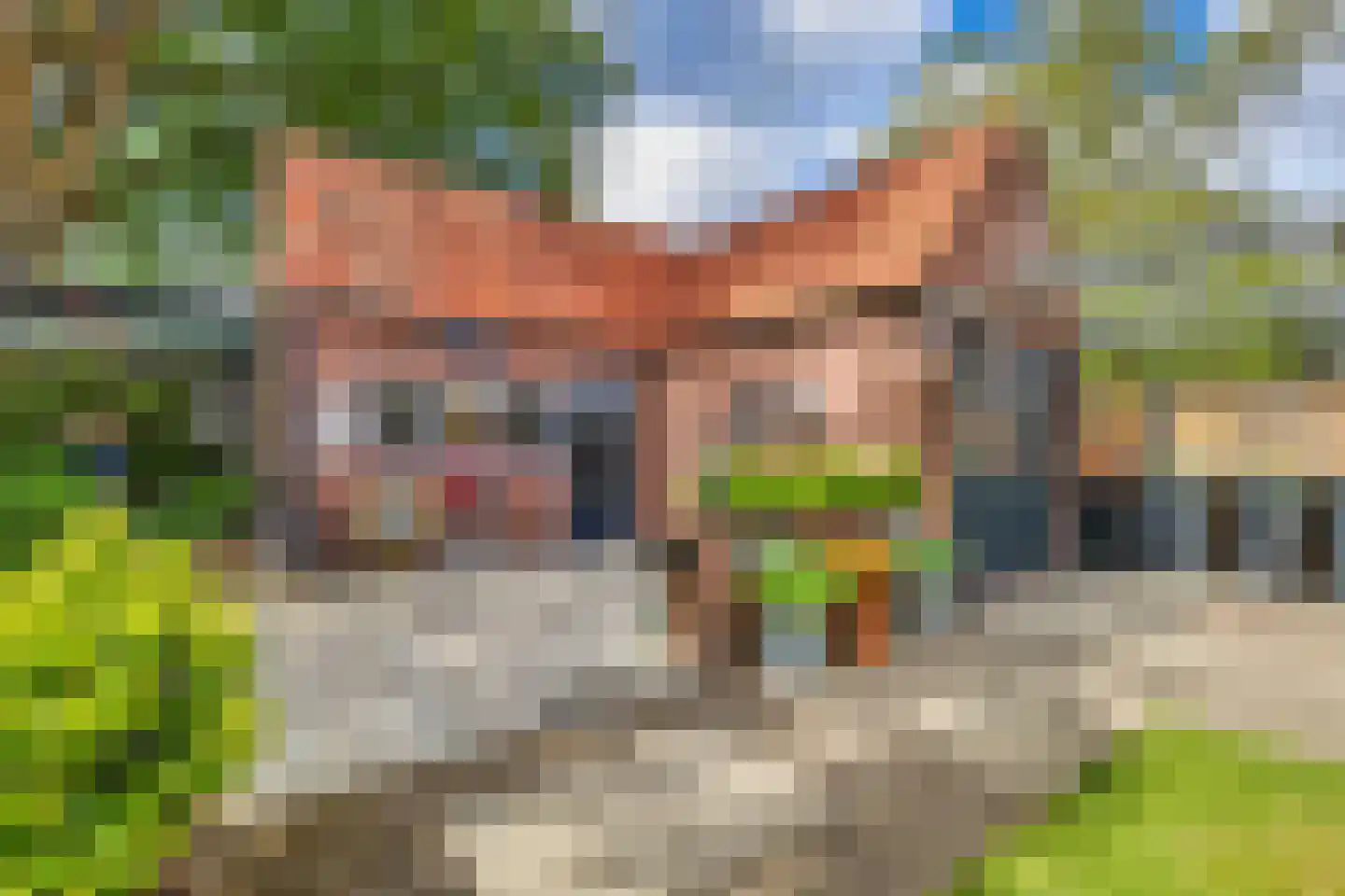 Stroomerlaan 24 Bergen (NH) thumbnail 5