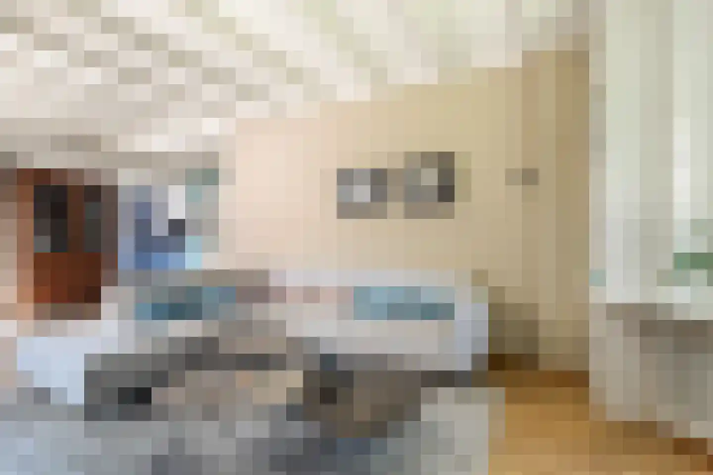 Stroomerlaan 4 Bergen (NH) thumbnail 11