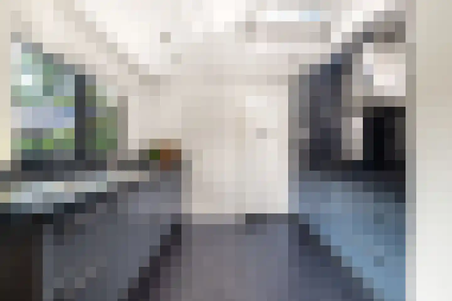 Stroomerlaan 4 Bergen (NH) thumbnail 17