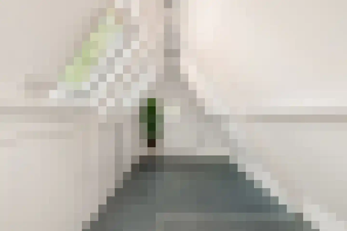 Stroomerlaan 4 Bergen (NH) thumbnail 37