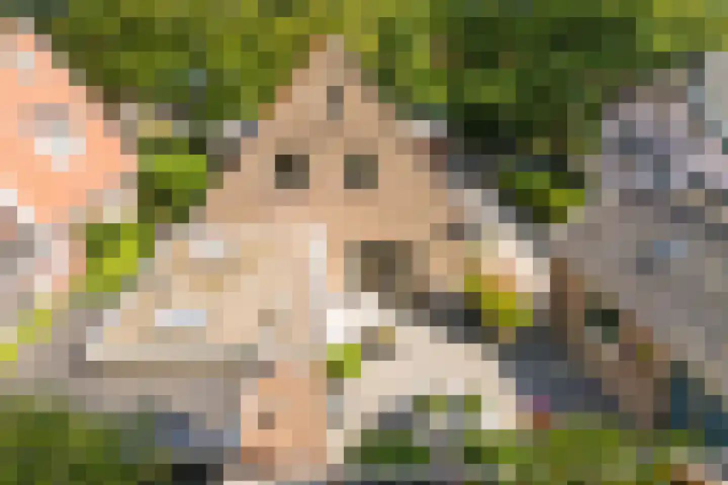 Stroomerlaan 4 Bergen (NH) thumbnail 38