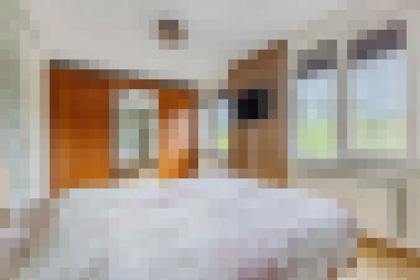Stroomwal 14 Heemskerk thumbnail 18