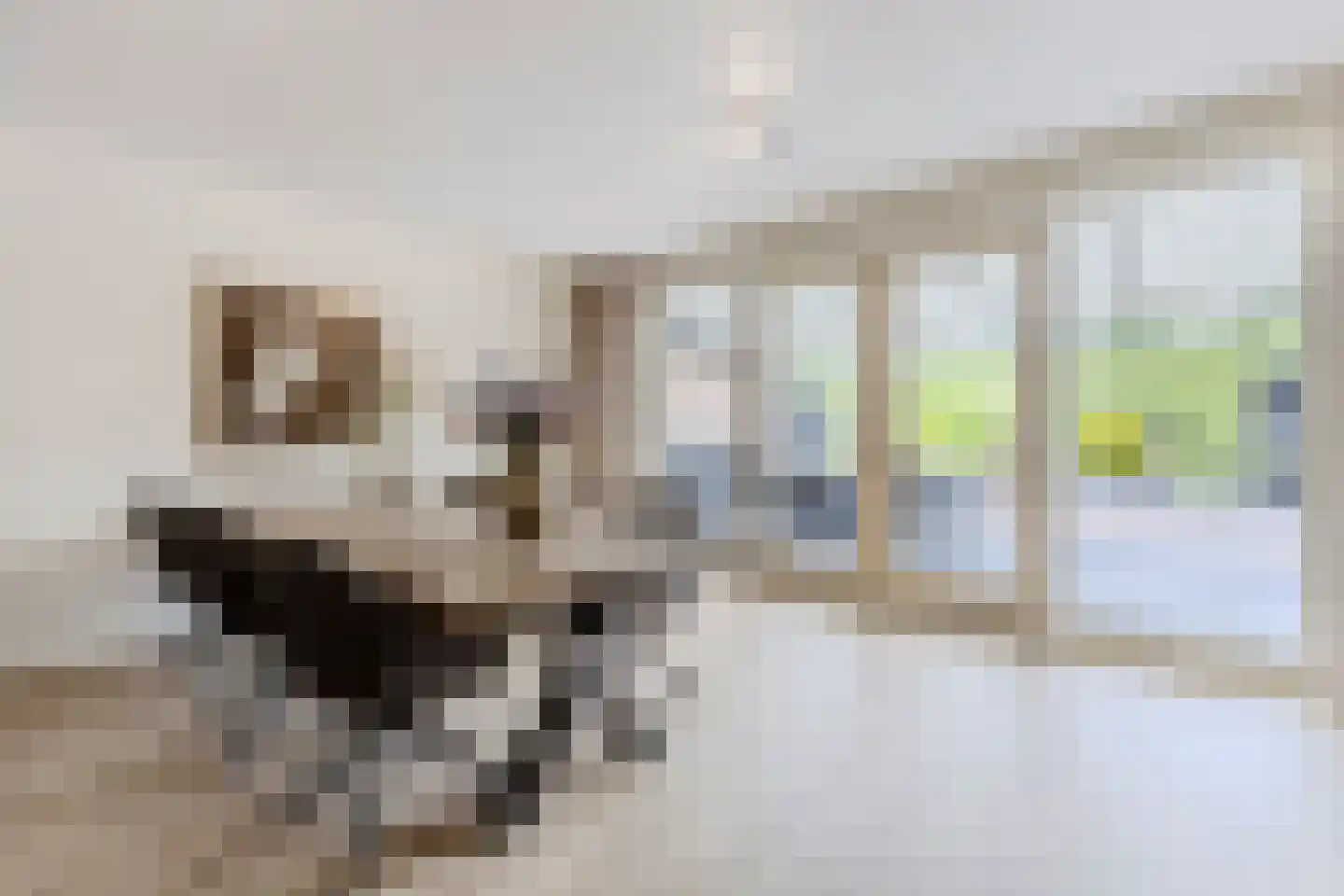 Stroomwal 14 Heemskerk thumbnail 7