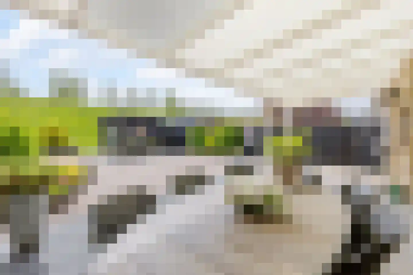 Stroomwal 14 Heemskerk thumbnail 8