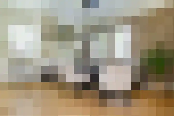 Stroomwal 19 Heemskerk thumbnail 14