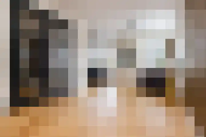 Stroomwal 19 Heemskerk thumbnail 16