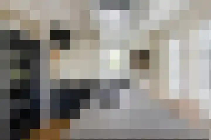Stroomwal 19 Heemskerk thumbnail 20