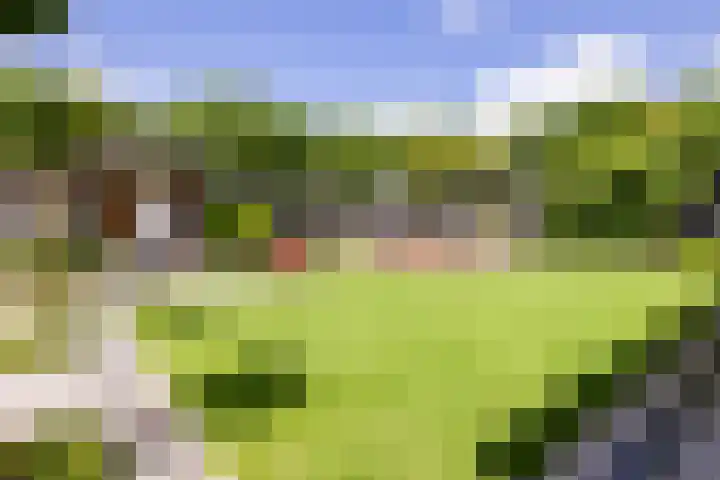 Stroomwal 19 Heemskerk thumbnail 24
