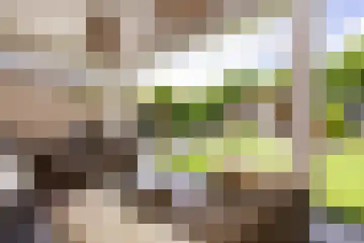 Stroomwal 19 Heemskerk thumbnail 29