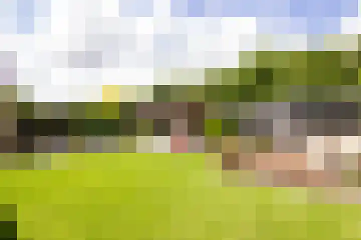Stroomwal 19 Heemskerk thumbnail 30