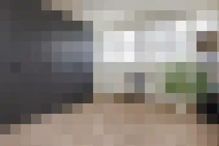 Stroomwal 19 Heemskerk thumbnail 35