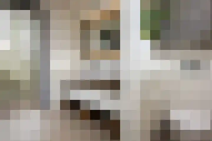 Stroomwal 19 Heemskerk thumbnail 41