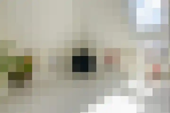 Stroomwal 19 Heemskerk thumbnail 46