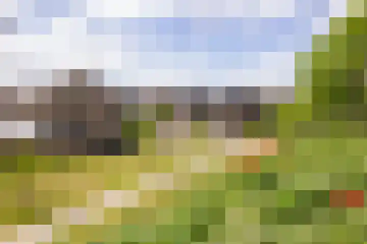 Stroomwal 19 Heemskerk thumbnail 55