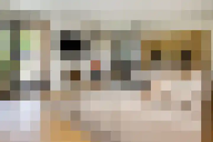 Stroomwal 19 Heemskerk thumbnail 9