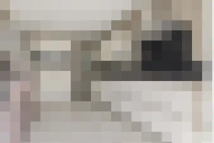 Stroomwal 38 Heemskerk thumbnail 12