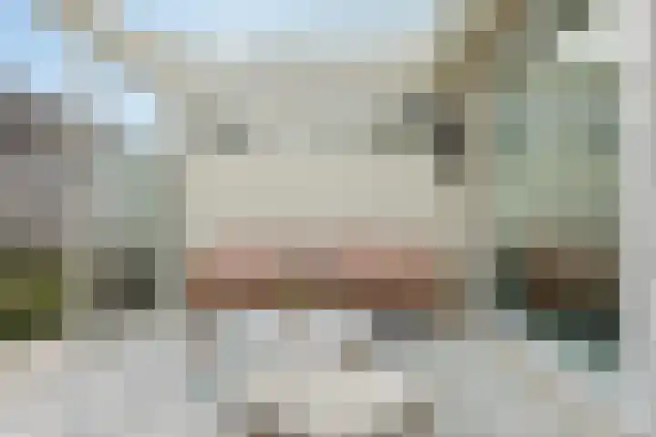 Stroomwal 38 Heemskerk thumbnail 15