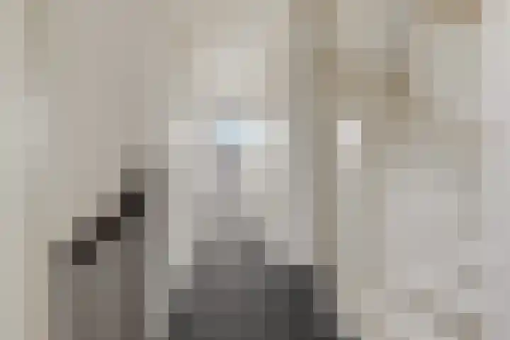 Stroomwal 38 Heemskerk thumbnail 18