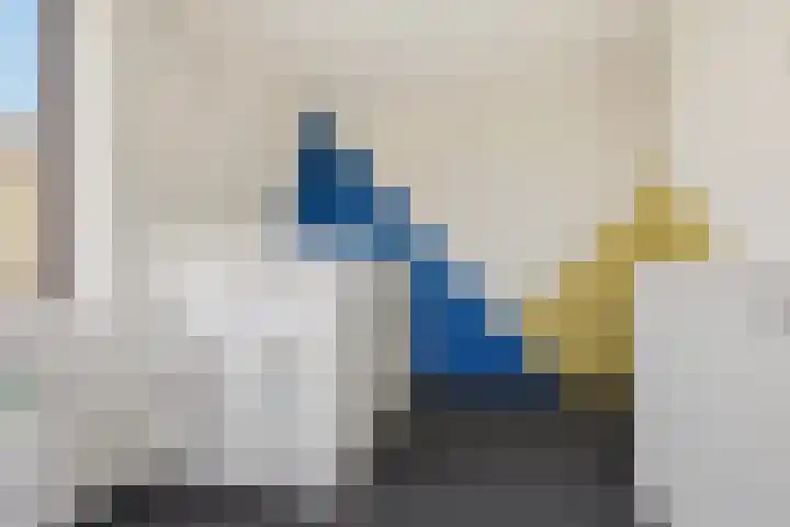 Stroomwal 38 Heemskerk thumbnail 21