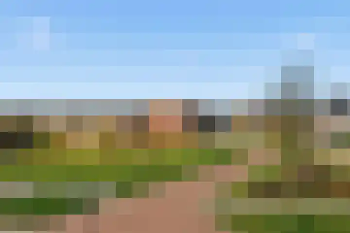 Stroomwal 38 Heemskerk thumbnail 35