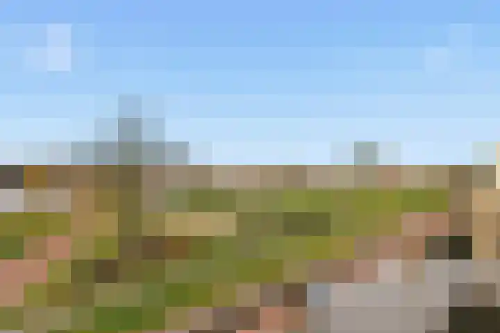 Stroomwal 38 Heemskerk thumbnail 36