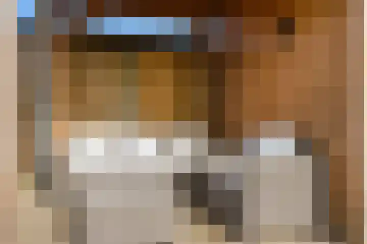 Stroomwal 38 Heemskerk thumbnail 41