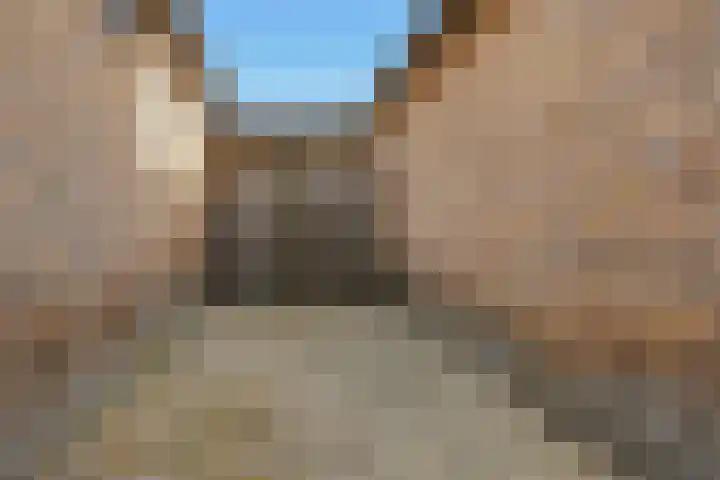 Stroomwal 38 Heemskerk thumbnail 43