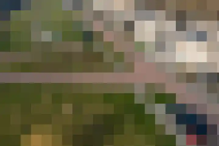 Stroomwal 38 Heemskerk thumbnail 46