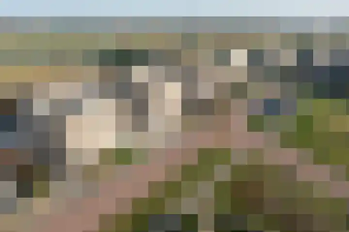 Stroomwal 38 Heemskerk thumbnail 47