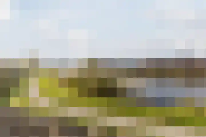 Stroomwal 53 Heemskerk thumbnail 46