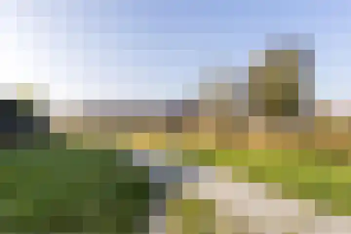 Stroomwal 53 Heemskerk thumbnail 48