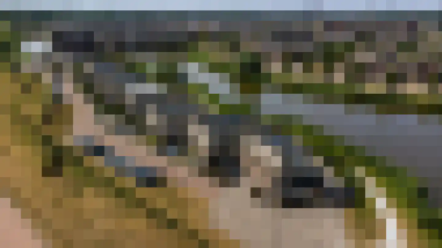 Stroomwal 61 Heemskerk thumbnail 52