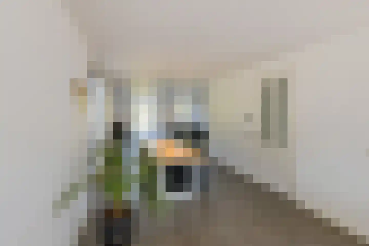 Stroomwal 7 Heemskerk thumbnail 15