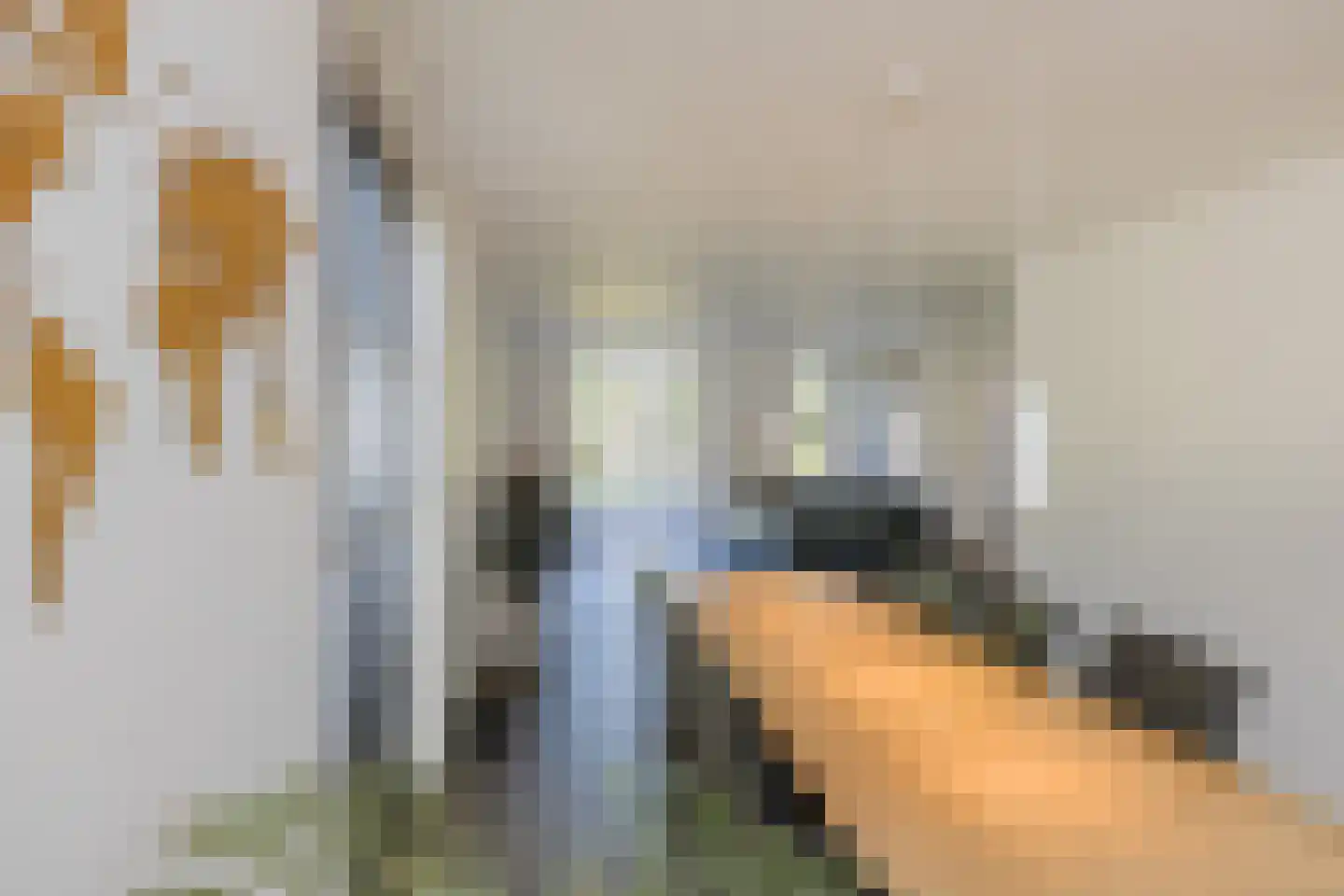 Stroomwal 7 Heemskerk thumbnail 17