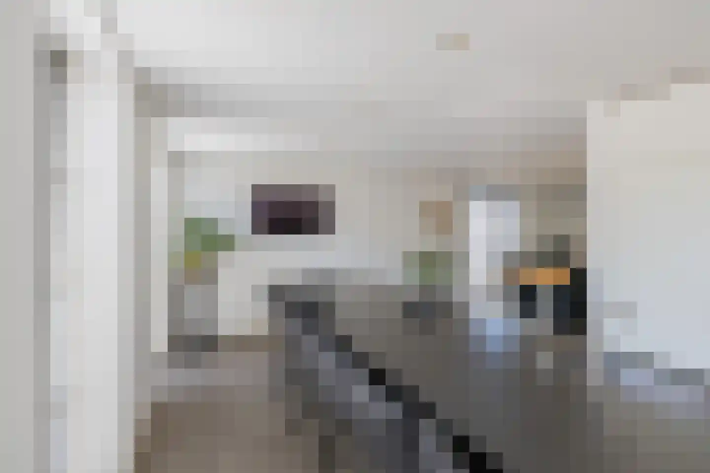 Stroomwal 7 Heemskerk thumbnail 34