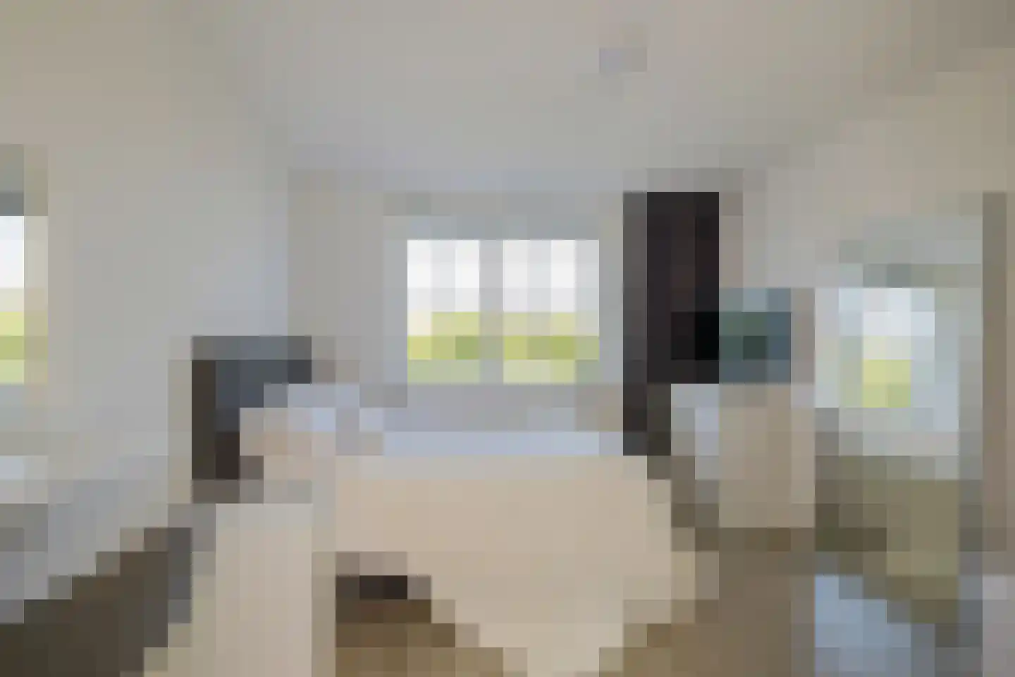 Stroomwal 7 Heemskerk thumbnail 66