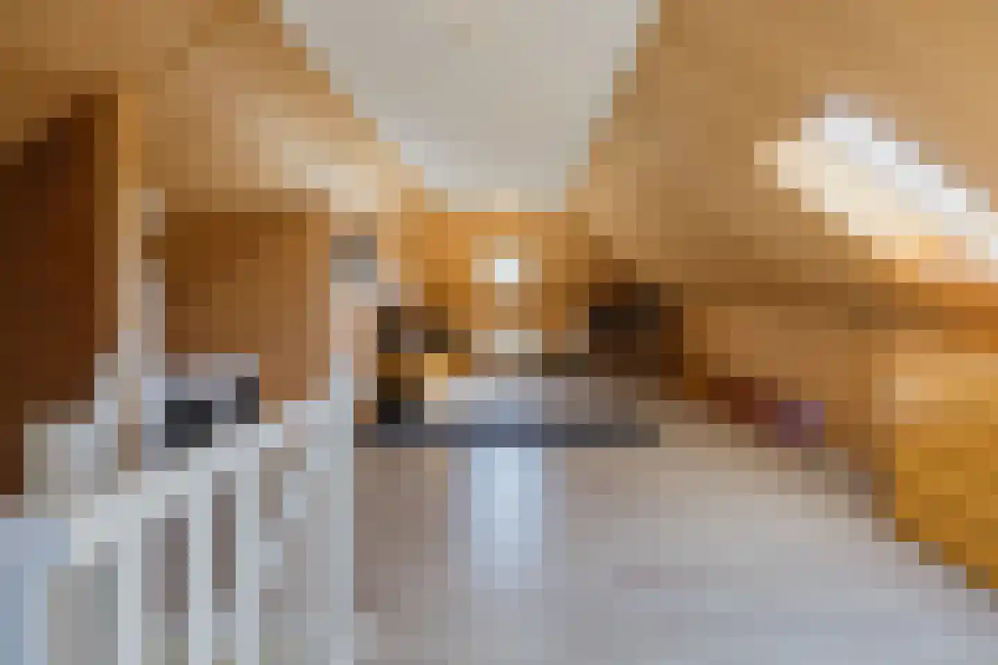 Stroomwal 7 Heemskerk thumbnail 77