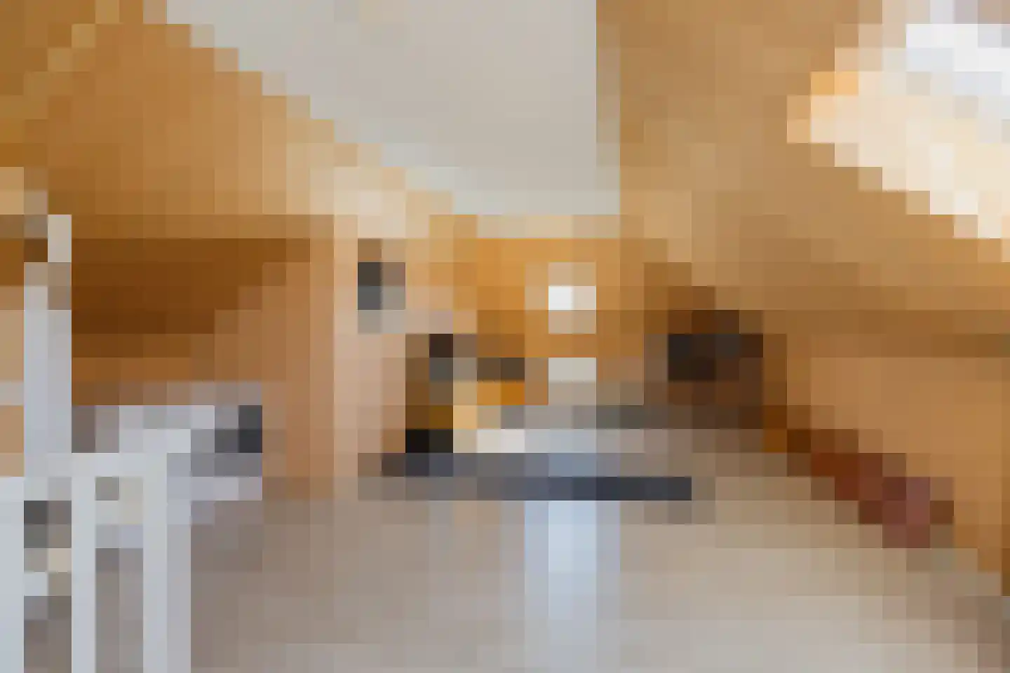 Stroomwal 7 Heemskerk thumbnail 78