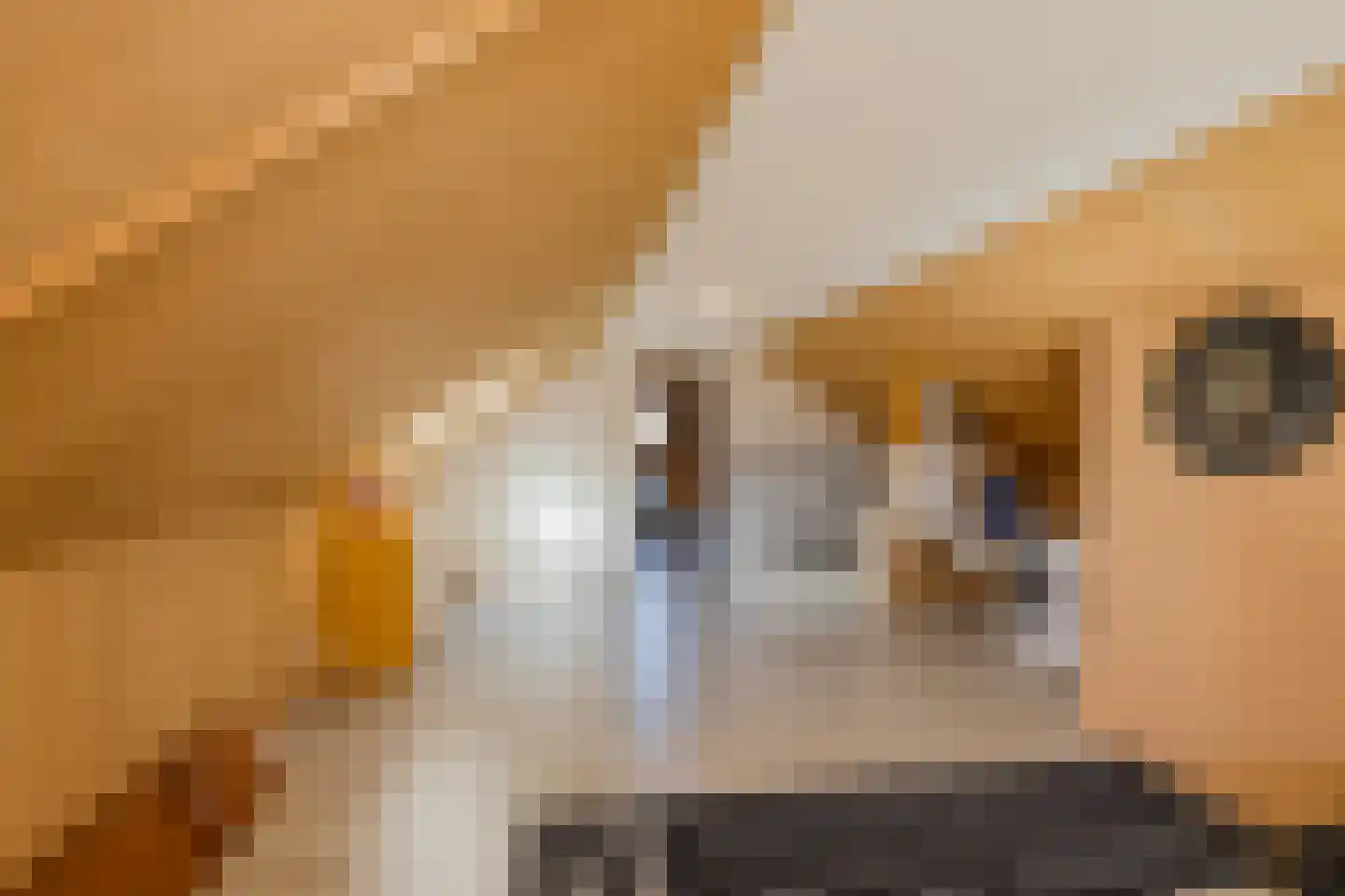 Stroomwal 7 Heemskerk thumbnail 79