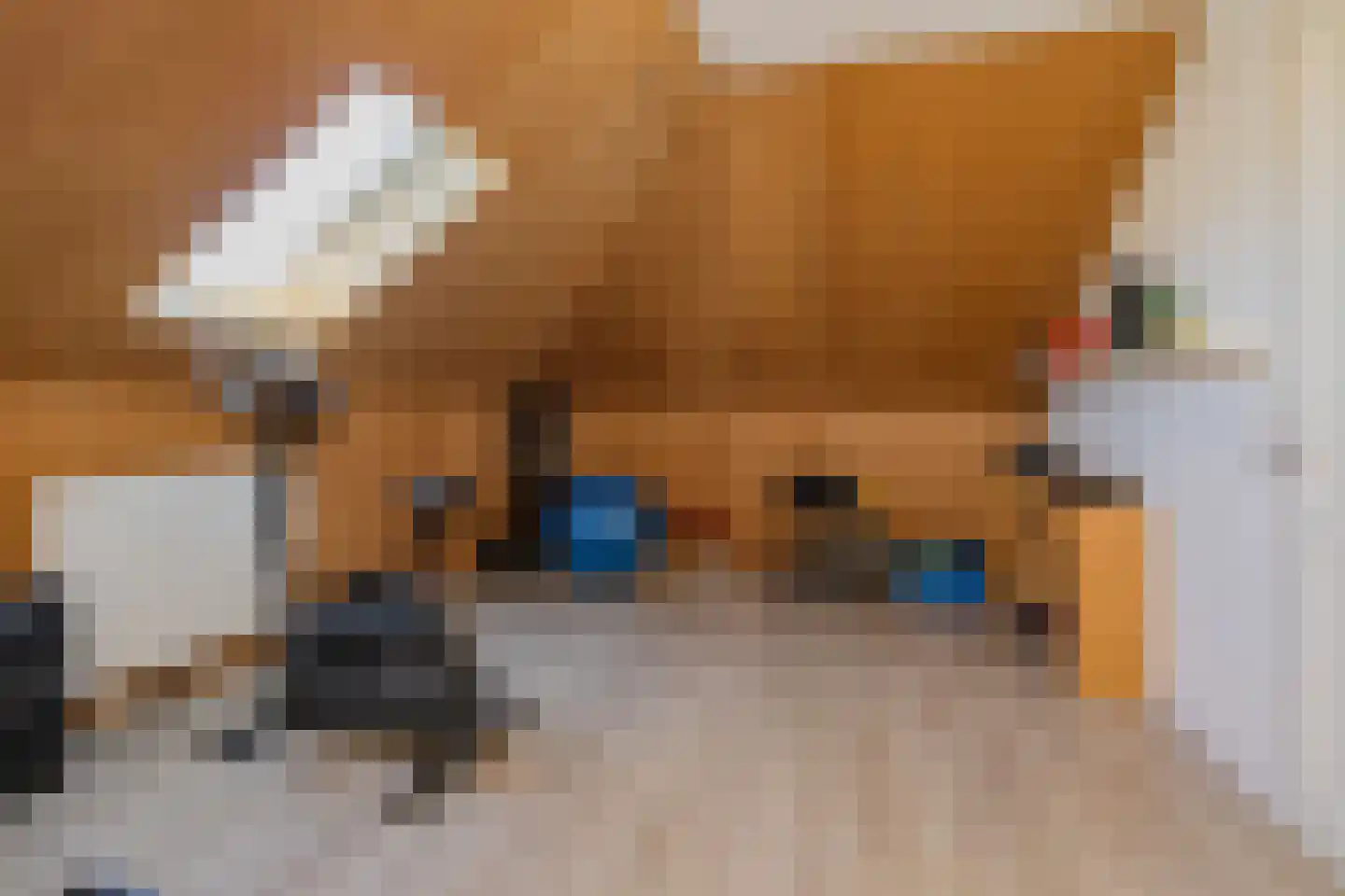 Stroomwal 7 Heemskerk thumbnail 81