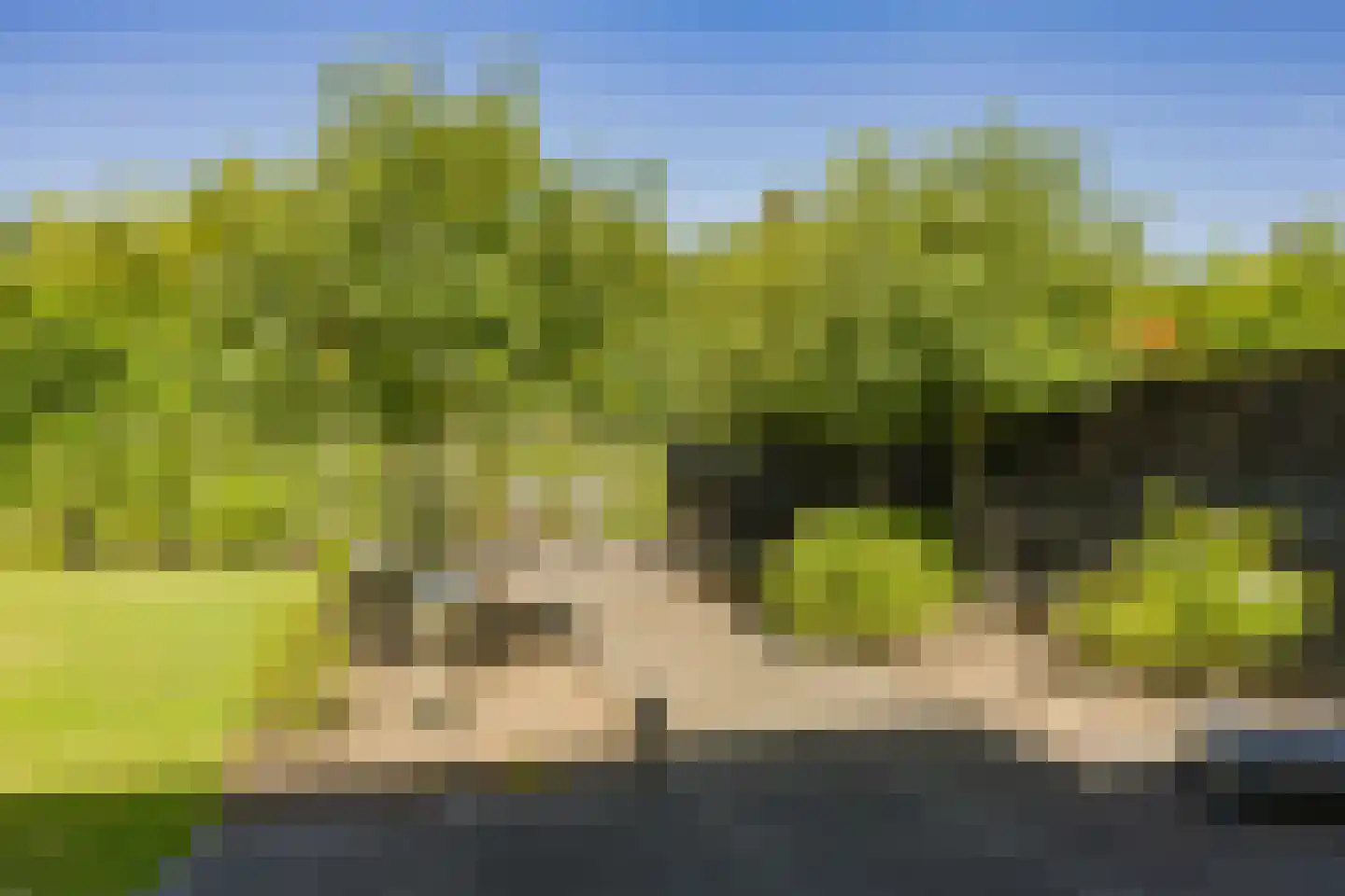 Stroomwal 7 Heemskerk thumbnail 88