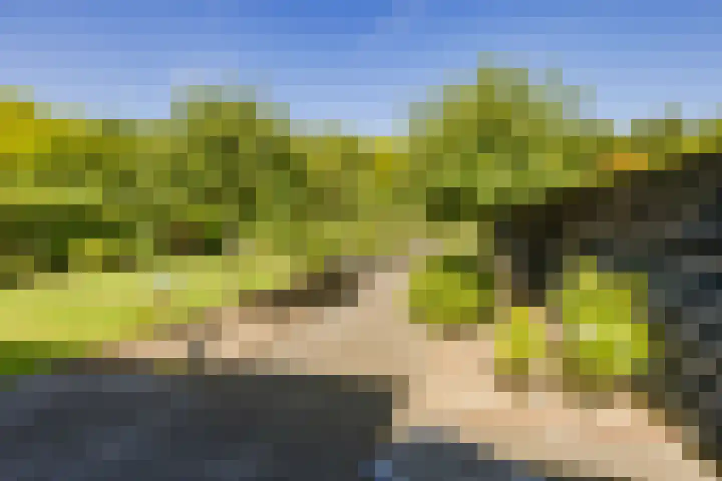 Stroomwal 7 Heemskerk thumbnail 89