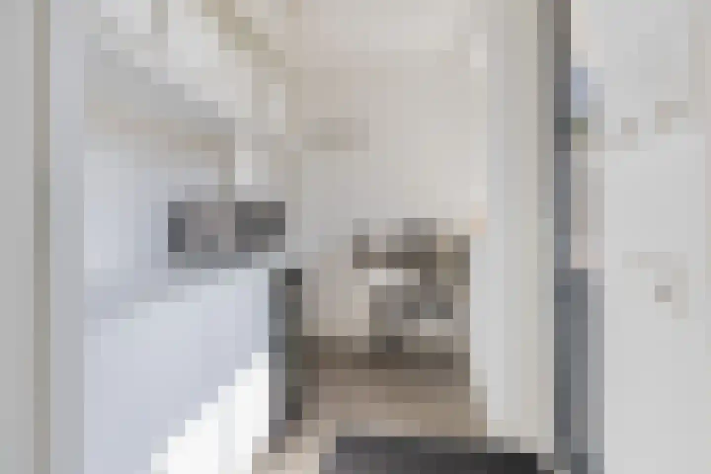 Stroomwal 7 Heemskerk thumbnail 9