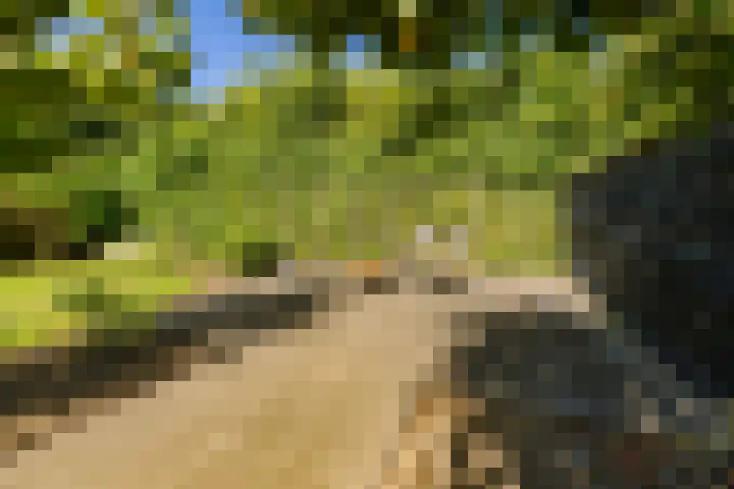 Stroomwal 7 Heemskerk thumbnail 92