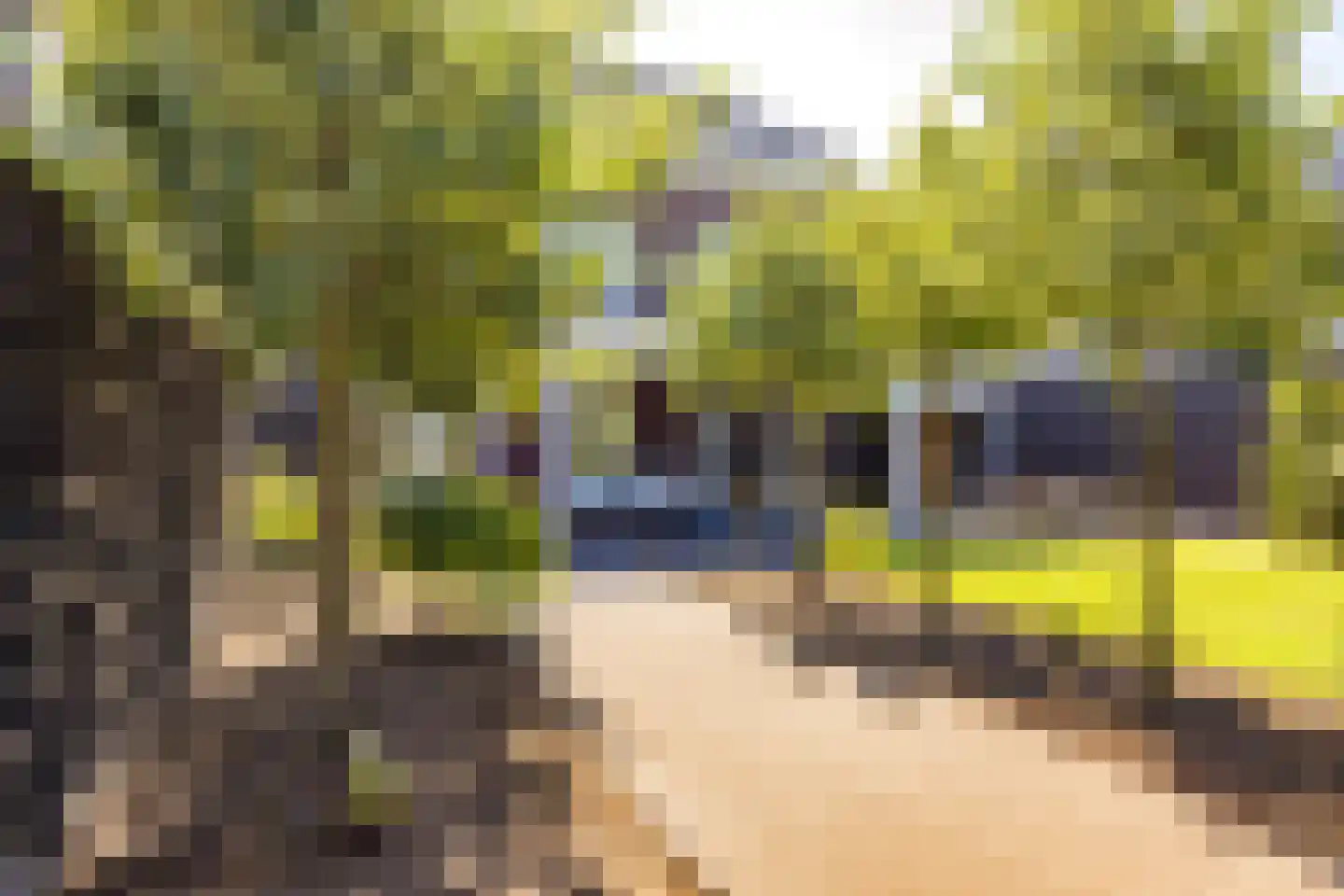 Stroomwal 7 Heemskerk thumbnail 94