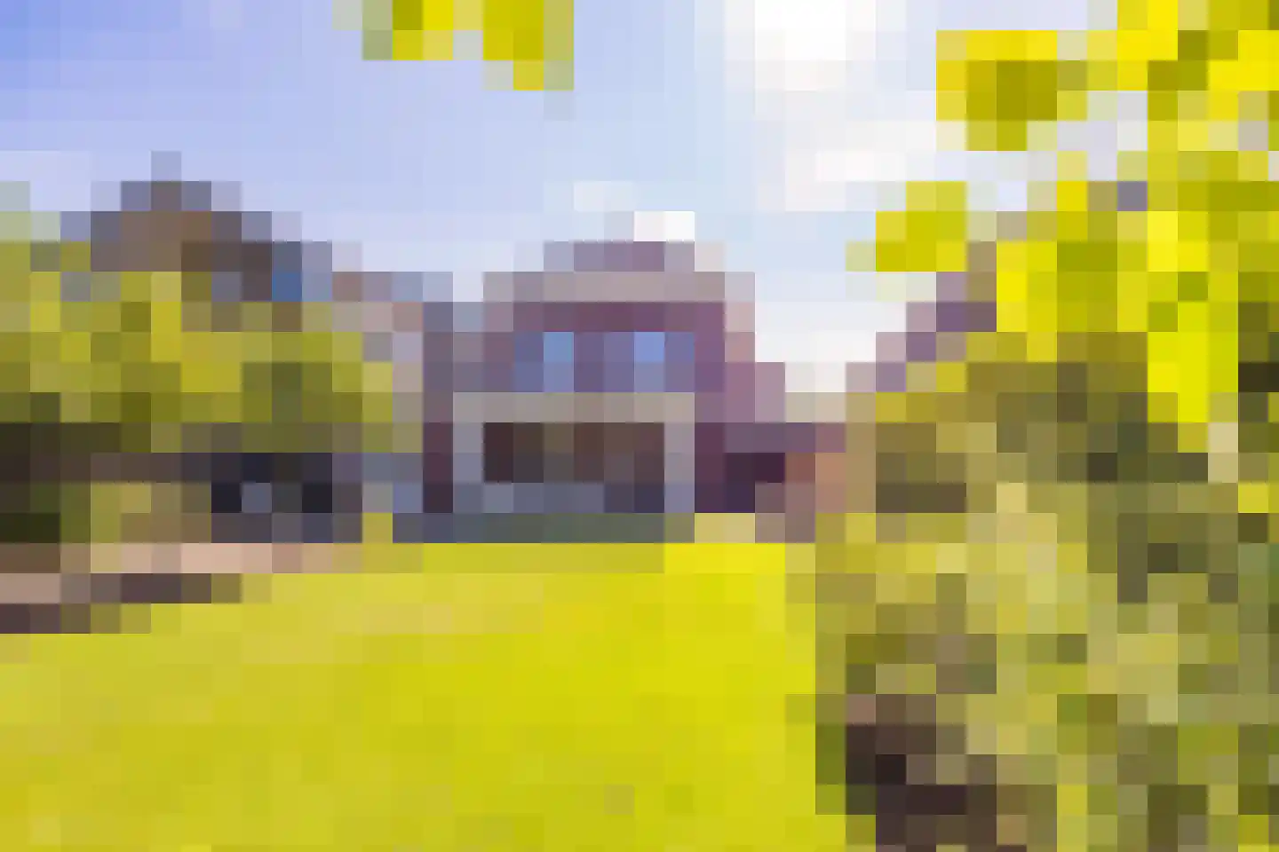 Stroomwal 7 Heemskerk thumbnail 96