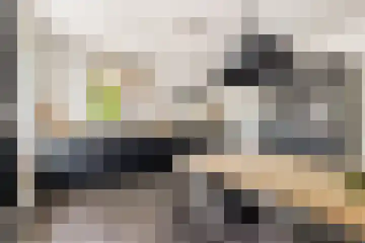Stroomwal 8 Heemskerk thumbnail 10