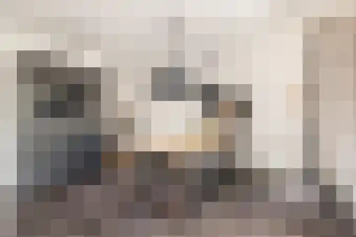 Stroomwal 8 Heemskerk thumbnail 11
