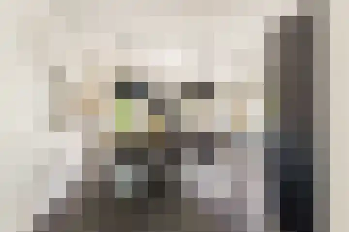 Stroomwal 8 Heemskerk thumbnail 12