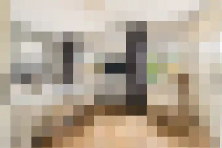 Stroomwal 8 Heemskerk thumbnail 14
